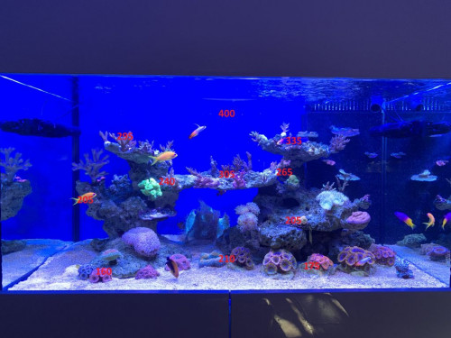 LED + T5
