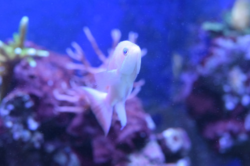 DSC_0131.JPG