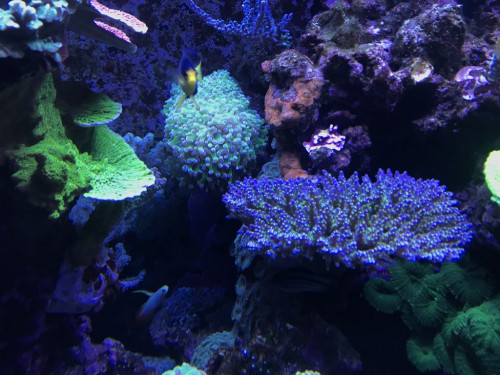 7C39835B-5080-437C-BBB5-D52AA1C16B8C.jpeg