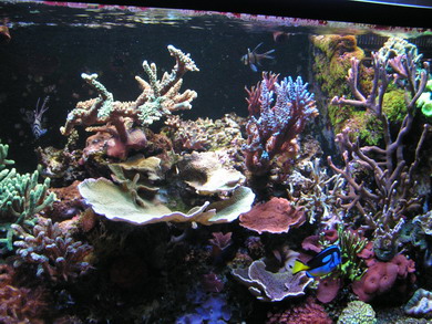forum pic 70.jpg