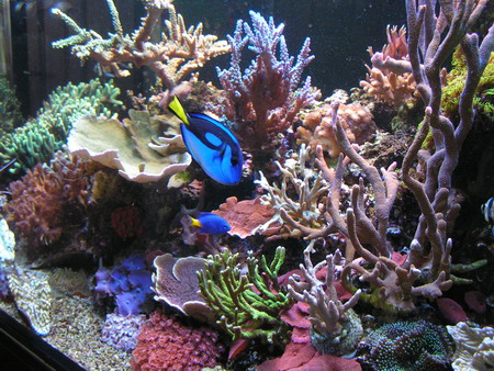 forum pic 74.jpg