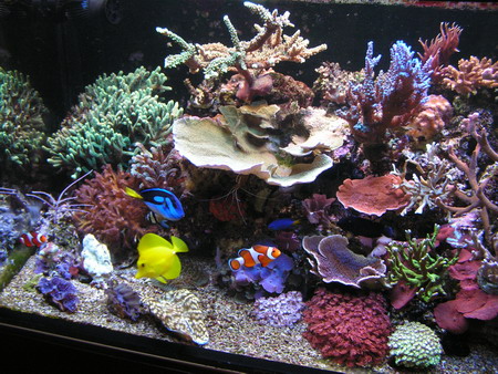 forum pic 77.jpg
