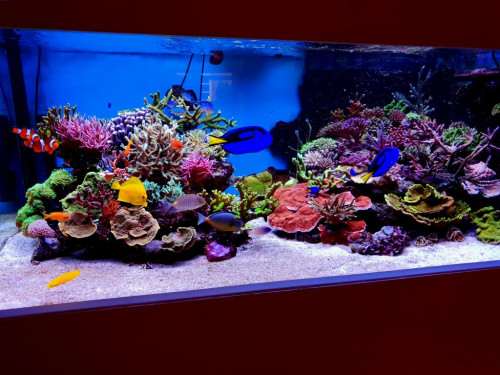 20191018_130814.jpg