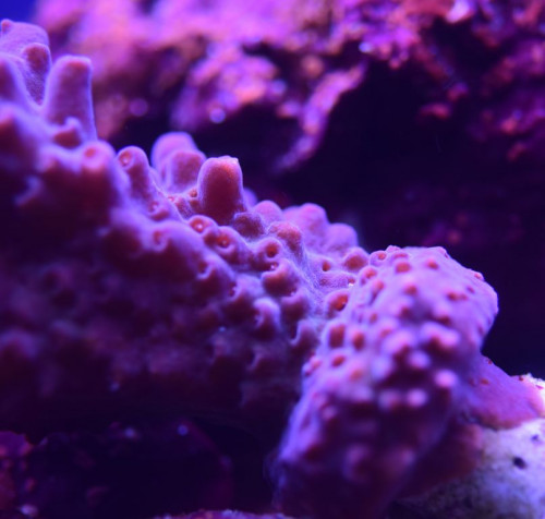 A22B78CB-2D59-494C-B3C6-D8F72B4B521F.jpeg