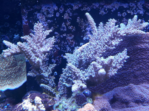 20191106_163641.jpg