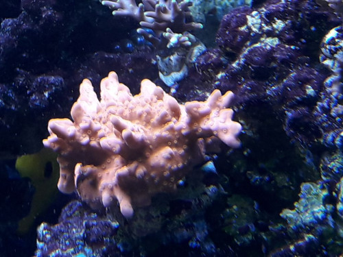 20191106_163655.jpg