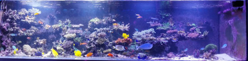 FTS 17-11-2019.jpg