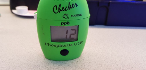 Måling af P. Som nævnt er jeg ikke så god til at skelne forskellene i farvenuancerne på nogle af testsættene. Derfor bruger jeg denne Phosphate checker. Digital og nem at aflæse. Jeg synes den er let at betjene. Jeg ved at nogle har svært ved at bruge den. Hvis man sætter sig grundigt ind i fremgangsmåden, så er den glimrende. Der er en udførlig beskrivelse af fremgangsmåden i bogen jeg linker til længere nede.<br />Jeg har tjekket præcisionen på målingerne, ved at sammenligne med ICP test. Det har jeg gjort over en længere periode. Samme vand til både egen test og til ICP. Der er ikke megen afvigelse. Vi taler om 1 til 2 i P.