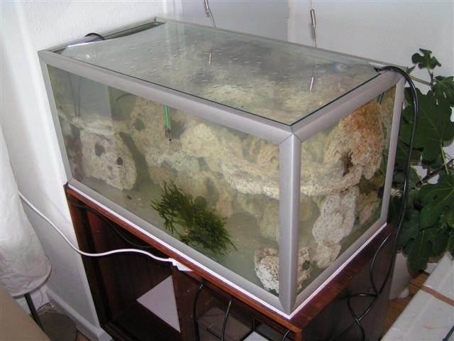 Akvarie (Small).JPG