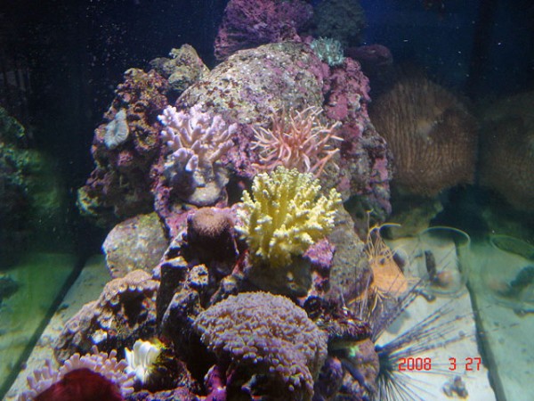 DSC08529.jpg