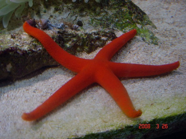 DSC08502.jpg