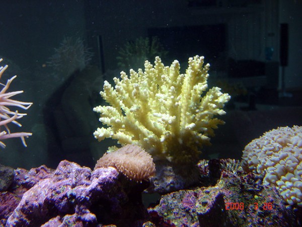 DSC08499.jpg