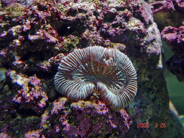 DSC08494.jpg