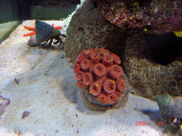 DSC08481.jpg