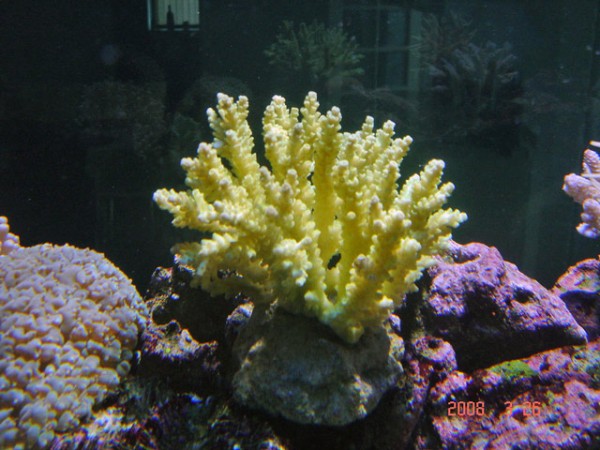 DSC08478.jpg
