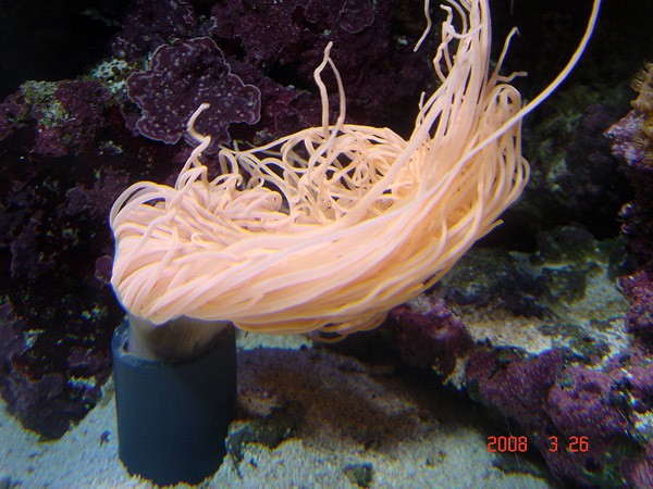 DSC08473.jpg