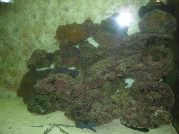 fylder ikke så meget i landskabet