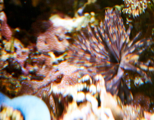 DSC01758.jpg