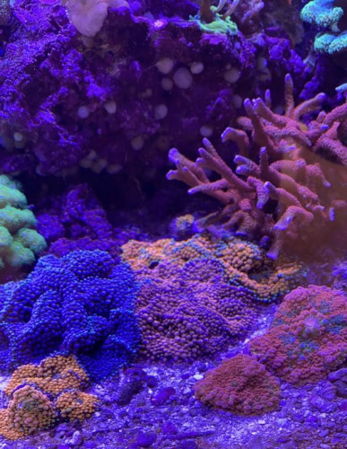 281ED61F-6F61-424B-99B4-2591B4ED8E03.jpeg