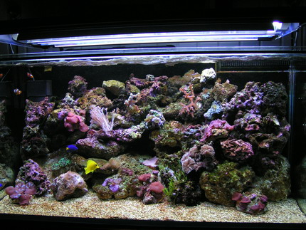 forum pic 07.jpg