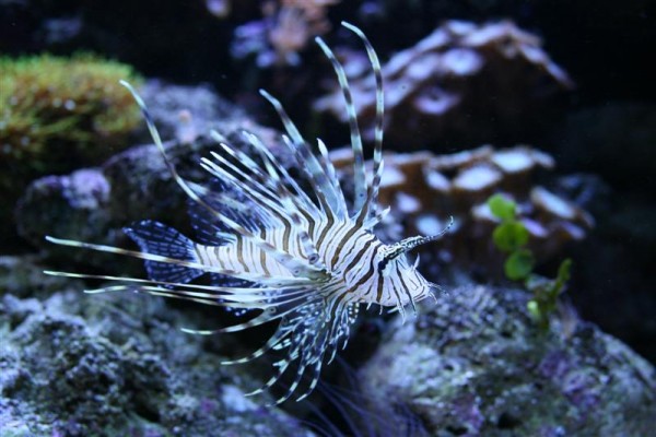 IMG_4595 (Medium).JPG