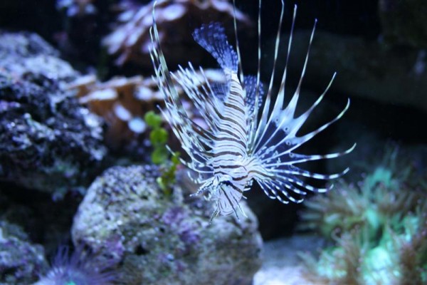 IMG_4607 (Medium).JPG