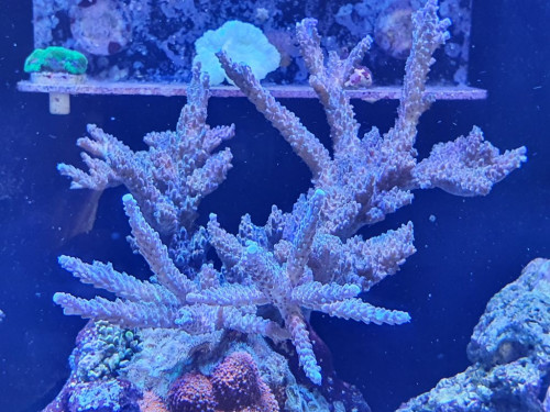 20200607_120846.jpg (155.32 KiB) Vist 2208 gange 2 år efter