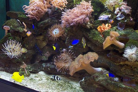 100_2719.JPG