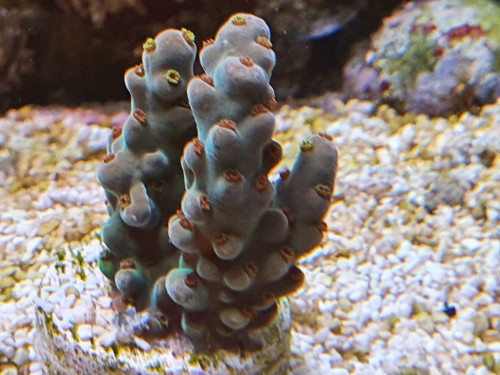 20201006_162859.jpg