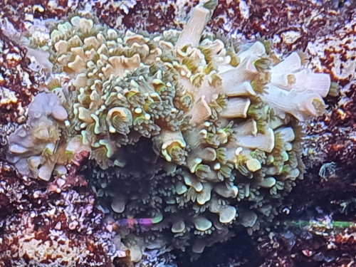 20201008_202941.jpg