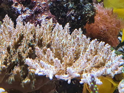 20201022_193135.jpg