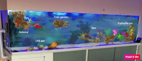 Tegning m koraller.png