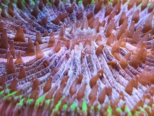 20201126_170953.jpg