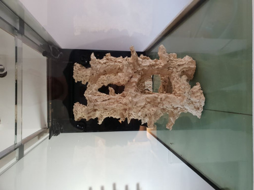 20201116_113359.jpg