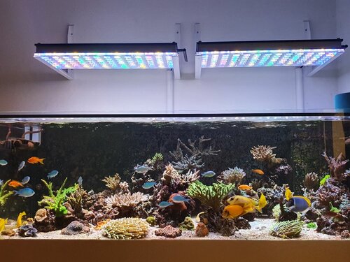 20201213_115618.jpg