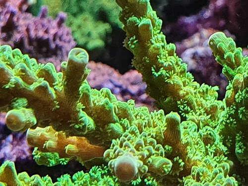 20201209_205913.jpg