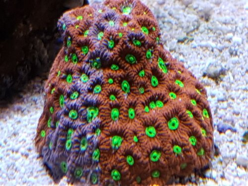 20201209_205555.jpg