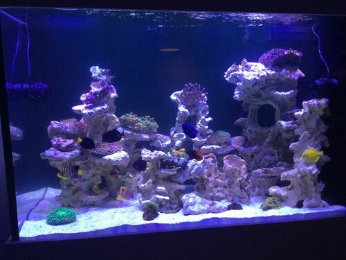 6ED216F2-E941-4C61-BA18-310D886F9912.jpeg (126.41 KiB) Vist 12194 gange Sådan en telefon vil jeg ha!