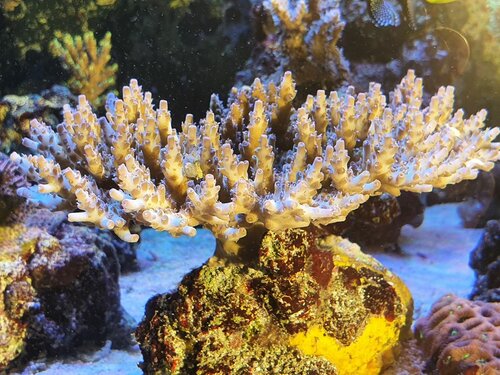 20201225_135709.jpg