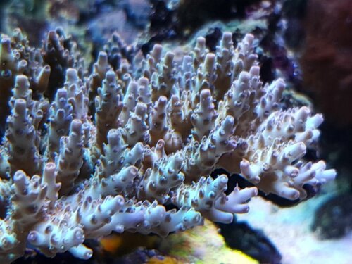 20201227_214738.jpg