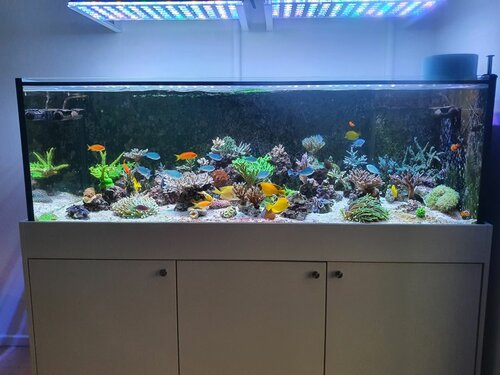 20201231_134433.jpg