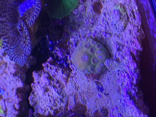 IMG_3679.jpeg