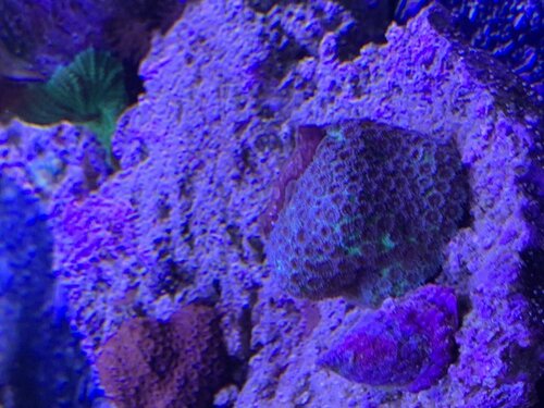 IMG_3695.jpeg