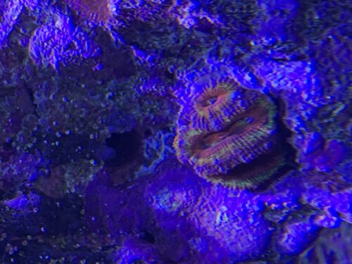 IMG_3697.jpeg