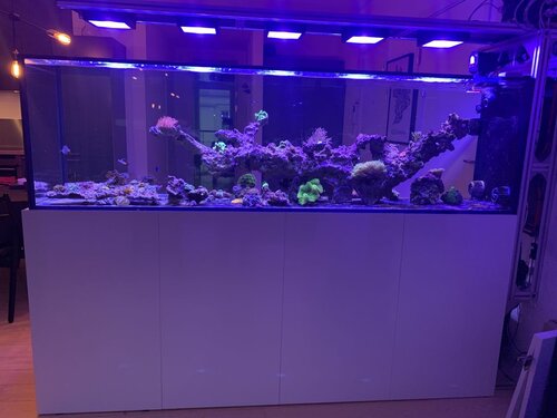 IMG_3658.jpeg