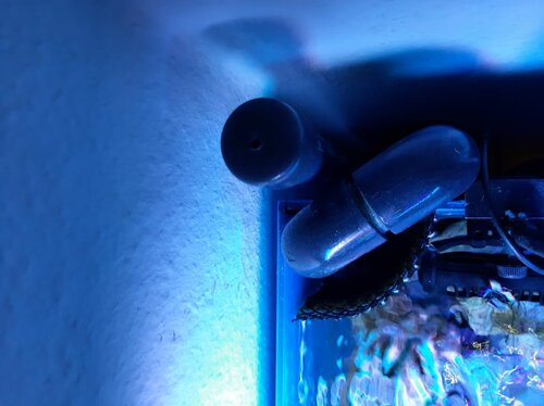 20210110_111119.jpg