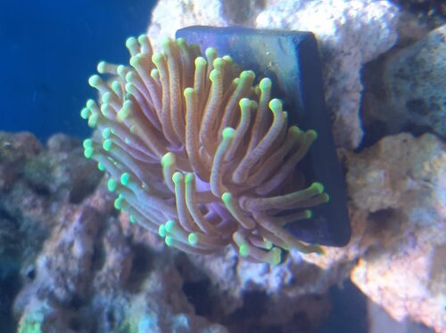 20201213_134541.jpg