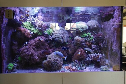 image000000(3).jpg