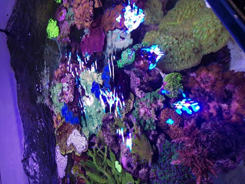20210207_131821.jpg