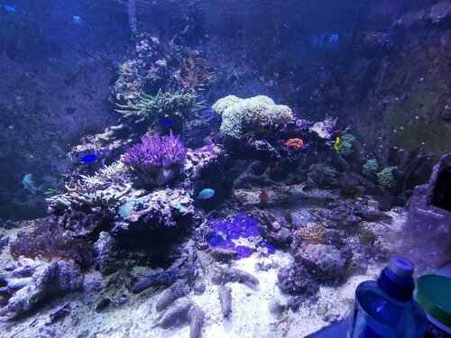 IMG_20210207_174256.jpg